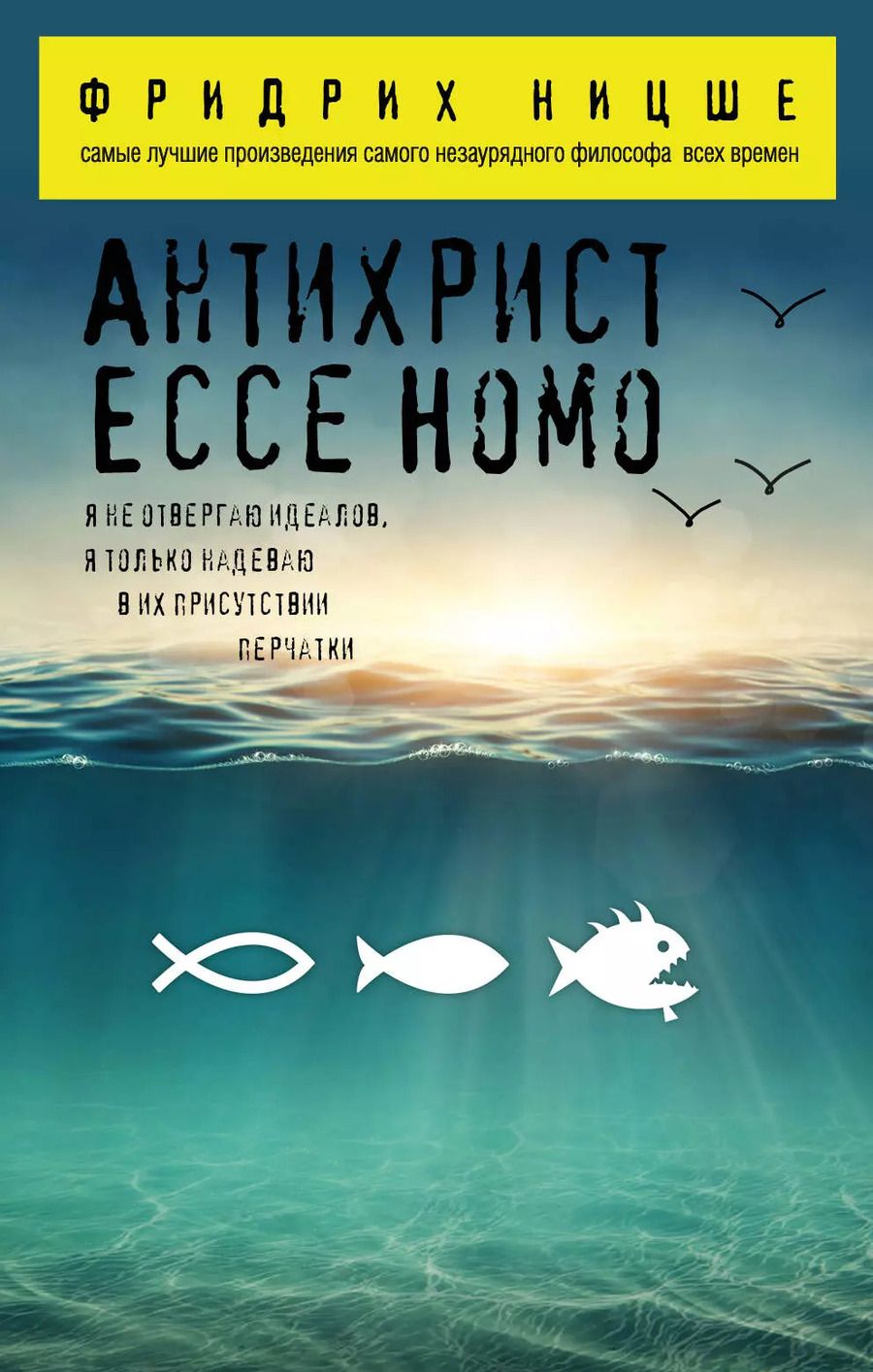 Обложка книги "Фридрих Ницше: Антихрист. Ecce Homo"