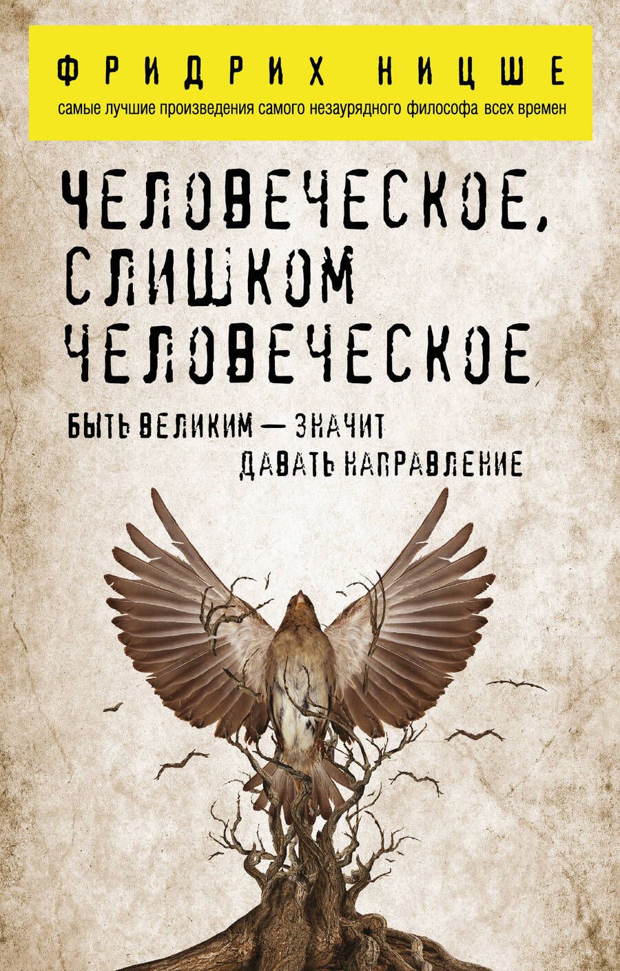 Обложка книги "Фридрих Ницше: Человеческое, слишком человеческое"