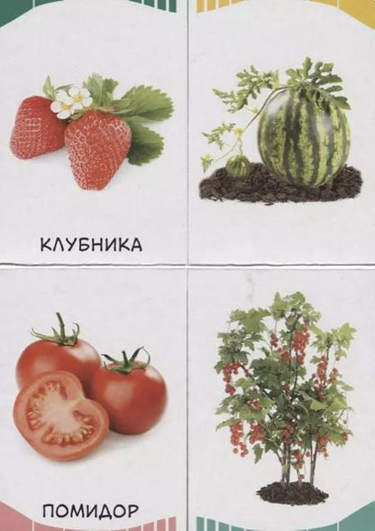 Фотография книги "Фрукты, овощи, ягоды"