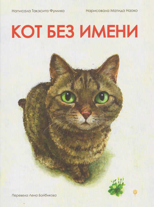 Обложка книги "Фумико Такэсита: Кот без имени"