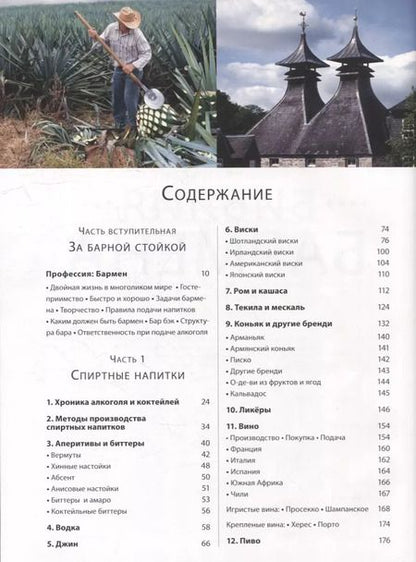 Фотография книги "Фёдор Евсевский: Библия бармена"