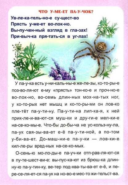 Фотография книги "Г. Попова: Слогочиталка. Секреты природы. Рассказы о букашках. ФГОС ДО"
