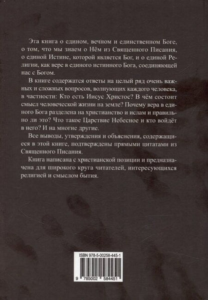 Фотография книги "Г. Синицын: Мудрость безумного"