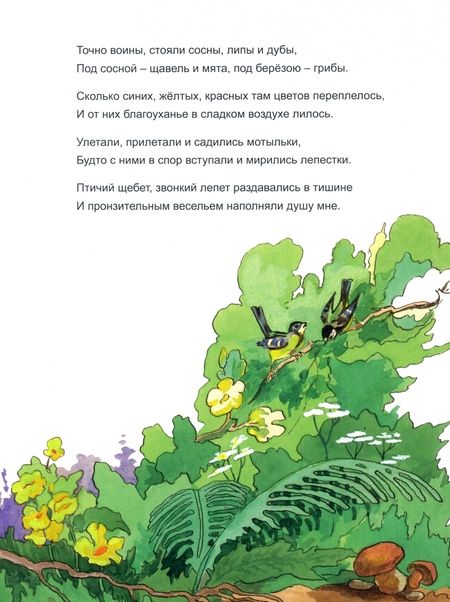 Фотография книги "Габдулла Тукай: Шурале. Сказка в стихах"