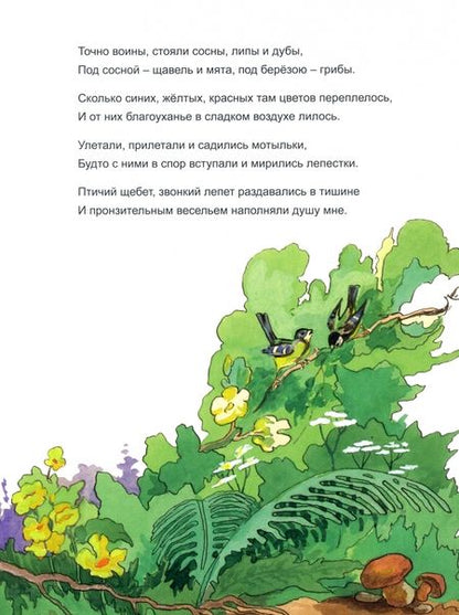 Фотография книги "Габдулла Тукай: Шурале. Сказка в стихах"