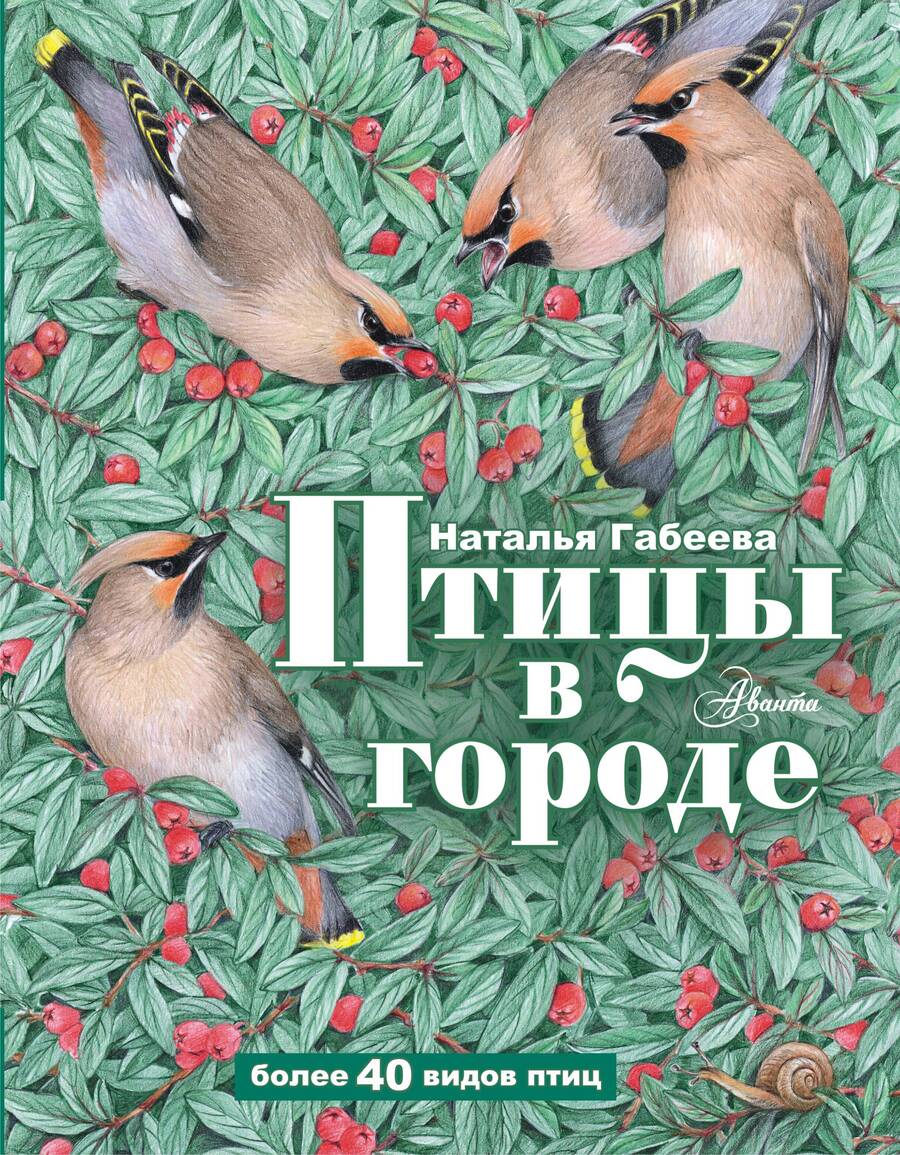 Обложка книги "Габеева: Птицы в городе"