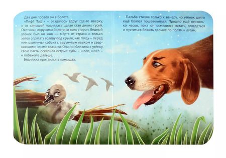 Фотография книги "Гадкий утенок"