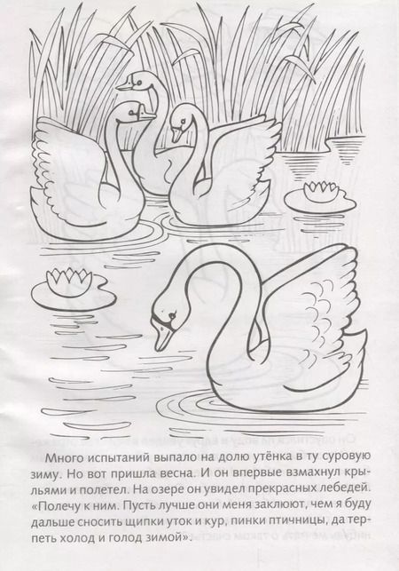 Фотография книги "Гадкий утенок"