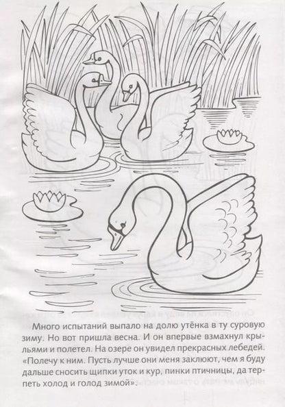 Фотография книги "Гадкий утенок"