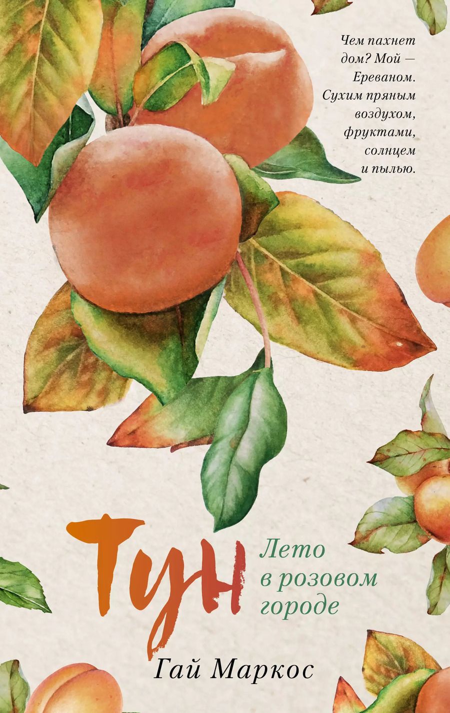 Обложка книги "Гай Маркос: Тун. Лето в розовом городе"