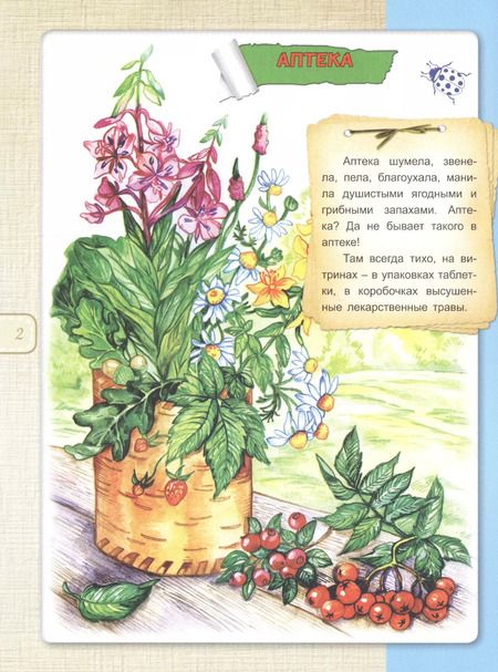 Фотография книги "Гайда Лагздынь: Зелёная аптека"