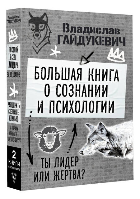 Фотография книги "Гайдукевич: Большая книга о сознании и психологии. Ты лидер или жертва?"
