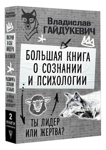 Фотография книги "Гайдукевич: Большая книга о сознании и психологии. Ты лидер или жертва?"
