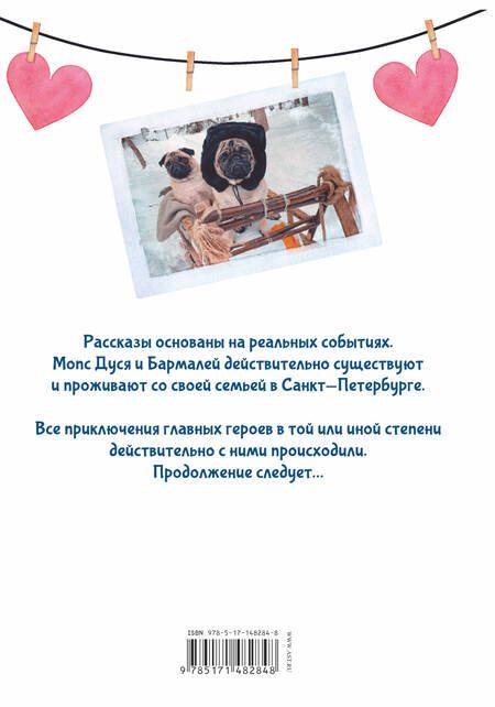 Фотография книги "Гайсина: Дуськины рассказы"