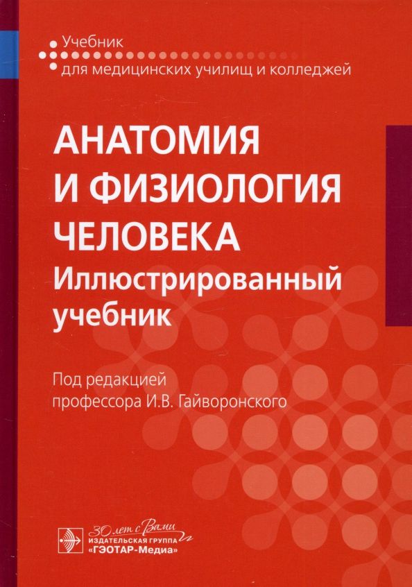Обложка книги "Гайворонский, Гайворонский, Николенко: Анатомия и физиология человека. Иллюстрированный учебник"