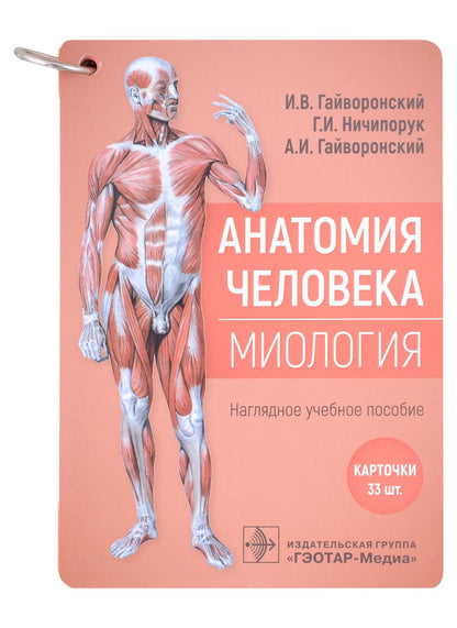 Обложка книги "Гайворонский, Ничипорук, Гайворонский: Анатомия человека. Миология. Комплект карточек. Наглядное учебное пособие"