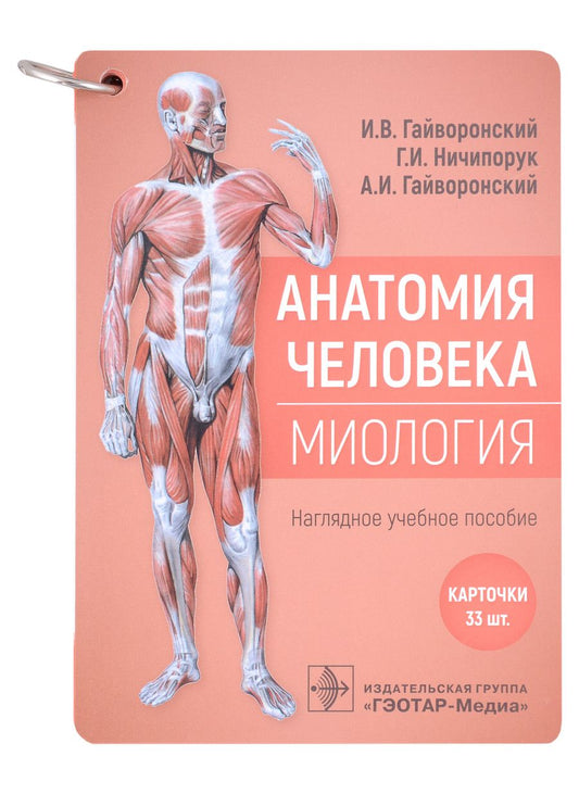 Обложка книги "Гайворонский, Ничипорук, Гайворонский: Анатомия человека. Миология. Комплект карточек. Наглядное учебное пособие"