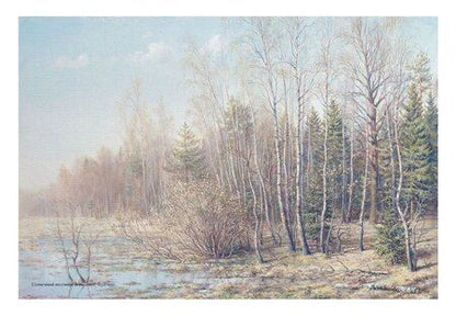 Фотография книги "Галина Чурак: Владимир Никонов"