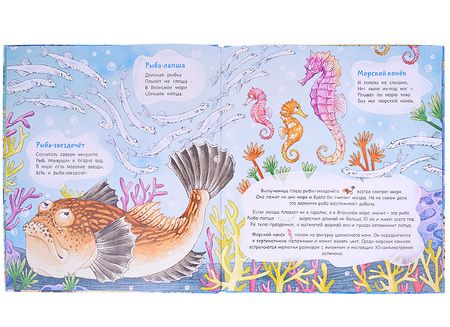 Фотография книги "Галина Ильина: Морской звездочёт и другие удивительные рыбы"