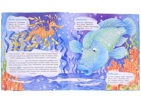 Фотография книги "Галина Ильина: Морской звездочёт и другие удивительные рыбы"