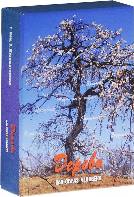 Обложка книги "Галина Кац: Дерево как образ человека Метафорические карты (12+) Кац (коробка) (упаковка)"