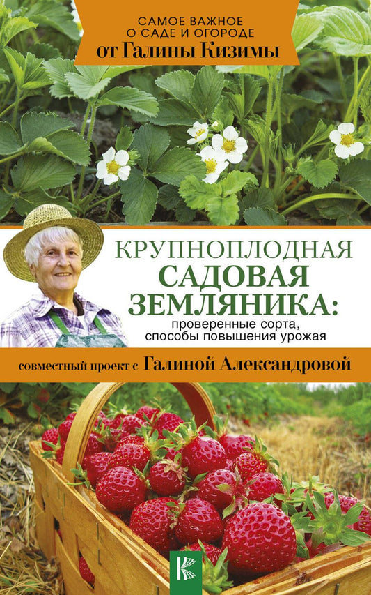 Обложка книги "Галина Кизима: Крупноплодная садовая земляника: проверенные сорта, способы повышения урожая"