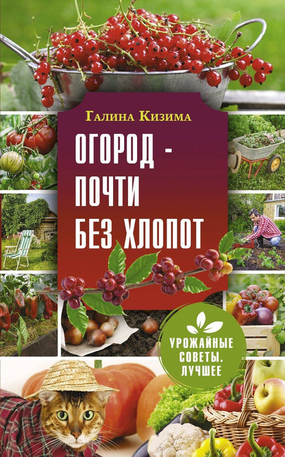 Обложка книги "Галина Кизима: Огород - почти без хлопот"