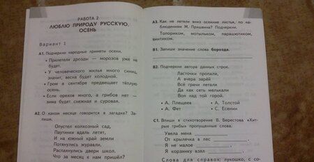 Фотография книги "Галина Шубина: КИМ ВПР. Литературное чтение. 2 класс. Контрольные измерительные материалы. ФГОС"