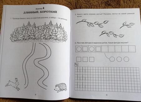 Фотография книги "Галина Сычева: Формирование элементарных математических представлений у дошкольников 4-5 л. Рабочая тетрадь 1 года"