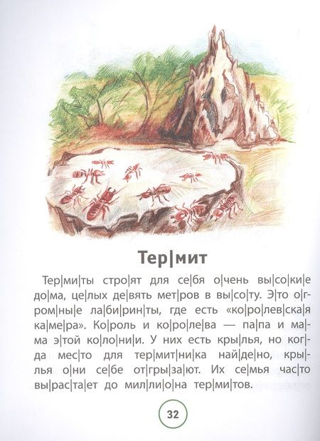Фотография книги "Галина Сычёва: Познавательные тексты для чтения. Насекомые"