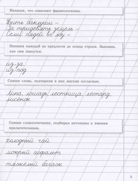 Фотография книги "Галина Сычёва: Прописи на каникулы с заданиями по орфографии.3 класс"