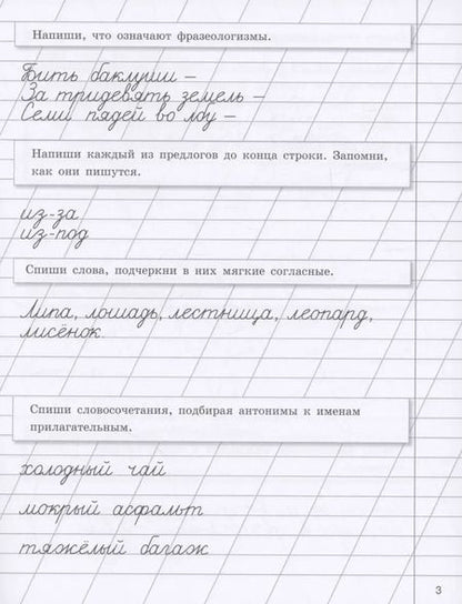 Фотография книги "Галина Сычёва: Прописи на каникулы с заданиями по орфографии.3 класс"