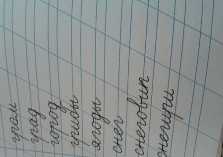 Фотография книги "Галина Сычёва: Тренажер по чистописанию для начальной школы. Выпуск 2. Рабочая тетрадь"