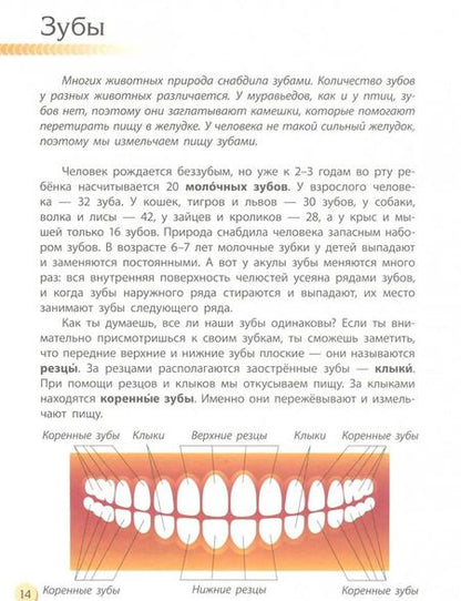 Фотография книги "Галина Стороженко: Человек и его тело"