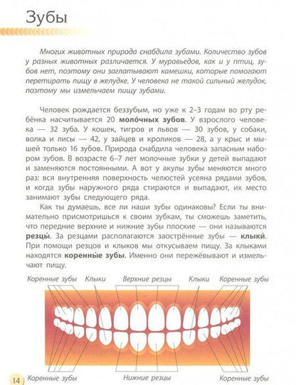 Фотография книги "Галина Стороженко: Человек и его тело"