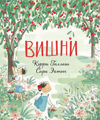 Обложка книги "Галлаш: Вишни"