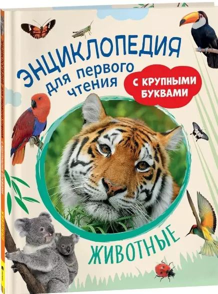 Обложка книги "Гальцева, Клюшник: Животные. Энциклопедия для первого чтения с крупными буквами"