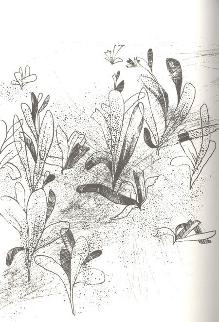 Фотография книги "Гандольфи: Альдабра. Черепаха, которая любила Шекспира"