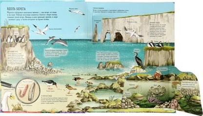 Фотография книги "Ганери: Океаны. От планктона до кита"