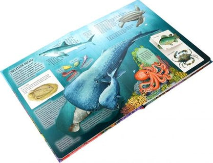 Фотография книги "Ганери: Океаны. От планктона до кита"