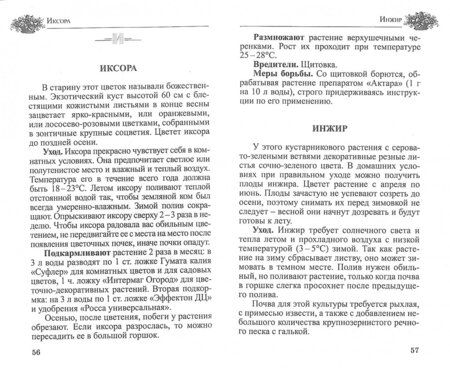 Фотография книги "Ганичкина, Ганичкин: Любимые домашние цветы. Практические советы"