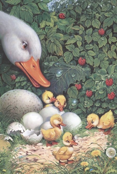 Фотография книги "Ганс Христиан: Гадкий утенок"