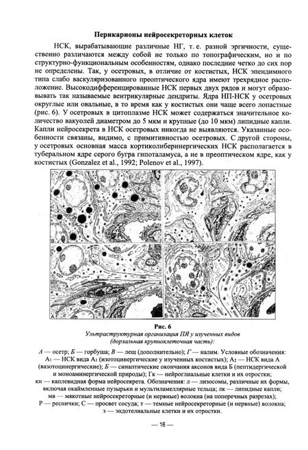 Фотография книги "Гарлов, Нечаева, Рыбалова: Искусственное воспроизведений популяций и миграции рыб. Учебное пособие"