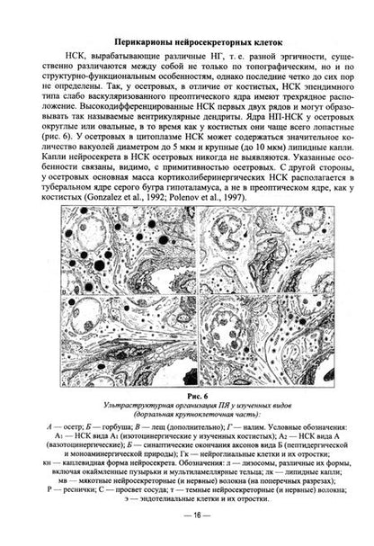 Фотография книги "Гарлов, Нечаева, Рыбалова: Искусственное воспроизведений популяций и миграции рыб. Учебное пособие"