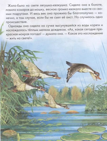 Фотография книги "Гаршин, Михайлов, Мамин-Сибиряк, Бианки, Паустовский: Сказки русских писателей"