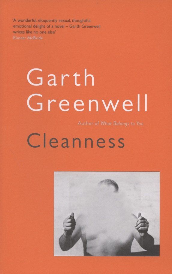 Обложка книги "Гарт Гринвелл: Cleanness"