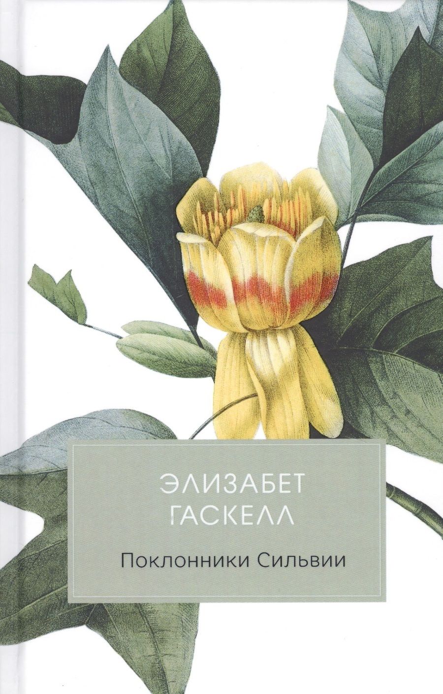 Обложка книги "Гаскелл: Поклонники Сильвии"