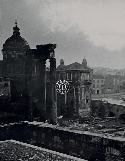 Фотография книги "Гаспаров: Капитолийская волчица. Рим до цезарей"