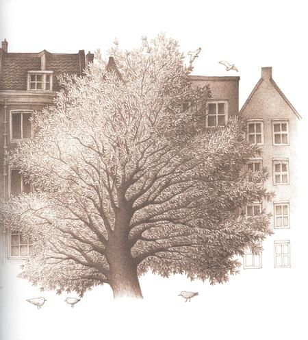 Фотография книги "Гаттсфелд: Дерево во дворе. Взгляд из окна Анны Франк"