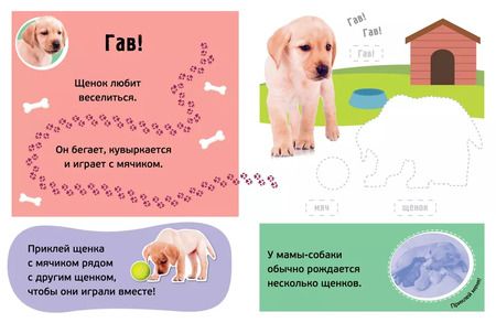Фотография книги "Гав! Детёныши"